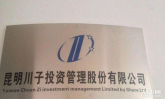 昆明川子投資管理咨詢公司 專業投資咨詢，賦能企業成長與財富增值